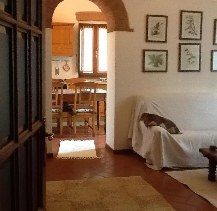 Camere e Appartamenti Baldini Romanita-1